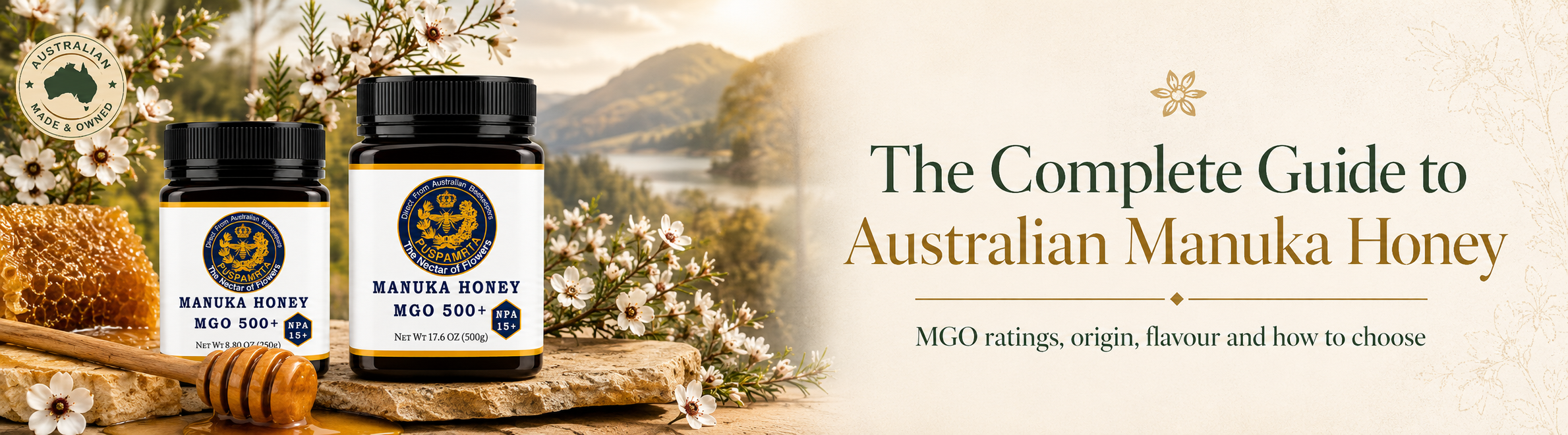 Australian Manuka honey jars with Leptospermum flowers, honeycomb and golden honey